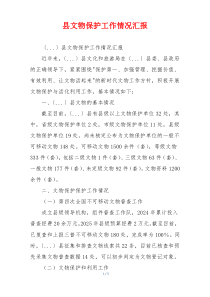 县文物保护工作情况汇报