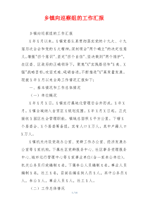 乡镇向巡察组的工作汇报