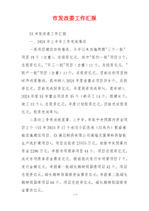 市发改委工作汇报