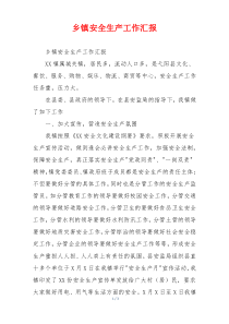 乡镇安全生产工作汇报