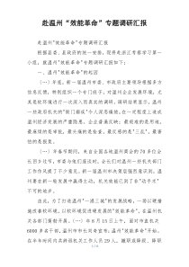 赴温州“效能革命”专题调研汇报