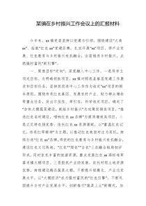 某镇在乡村振兴工作会议上的汇报材料