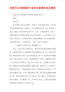 纪委书记对新提拔干部的任前集体谈话提纲