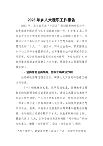 (参考)2025年乡人大履职工作报告