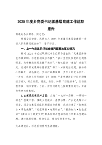 (参考)2025年度乡党委书记抓基层党建工作述职报告