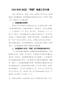(参考)2025年村（社区）“两委”换届工作方案