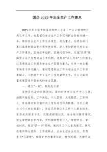 国企2025年安全生产工作要点