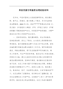 某县党建引领基层治理经验材料