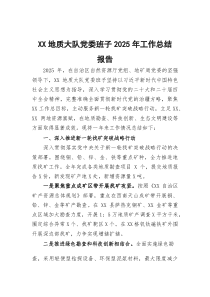 (参考)XX地质大队党委班子2025年工作总结报告