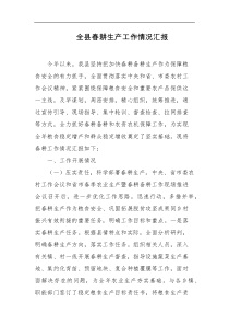全县春耕生产工作情况汇报