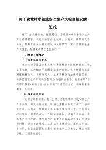 (参考)关于农牧林水领域安全生产大检查情况的汇报