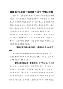 (参考)县委2025年度干部选拔任用工作情况报告