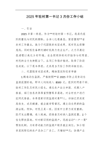 2025年驻村第一书记3月份工作小结