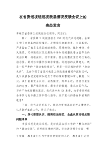 (参考)在省委巡视组巡视我县情况反馈会议上的表态发言