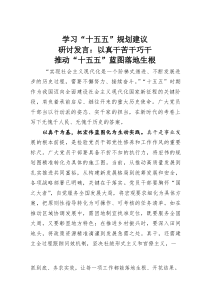 (参考)学习“十五五”规划建议研讨发言：以真干苦干巧干推动“十五五”蓝图落地生根