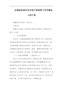 区委组织部长在年轻干部培养工作专题会上的汇报