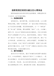 (参考)挂职某某区政府办副主任心得体会