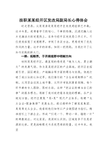 (参考)挂职某某经开区发改局副局长心得体会