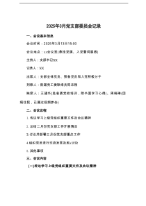 2025年3月党支部委员会记录最新3篇