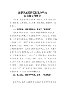 (参考)挂职某某经开区街道办事处副主任心得体会