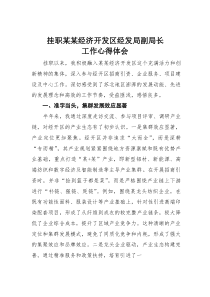 (参考)挂职某某经济开发区经发局副局长工作心得体会