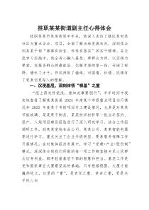 (参考)挂职某某街道副主任心得体会