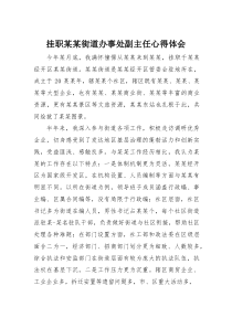 (参考)挂职某某街道办事处副主任心得体会