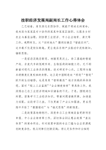 (参考)挂职经济发展局副局长工作心得体1