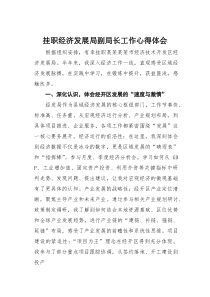 (参考)挂职经济发展局副局长工作心得体会