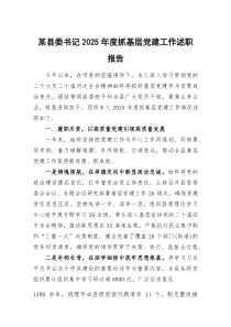 (参考)某县委书记2025年度抓基层党建工作述职报告