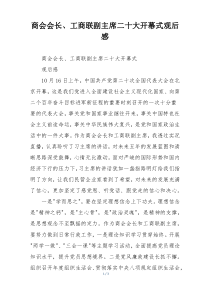 商会会长、工商联副主席二十大开幕式观后感