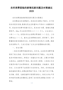 农村消费面临的新情况新问题及对策建议2025