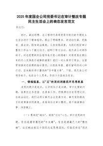 (新)2025年度国企公司党委书记在审计整改专题民主生活会上的表态发言范文