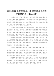 (新)2025年度民主生活会、组织生活会自我批评意见汇总（共40条）