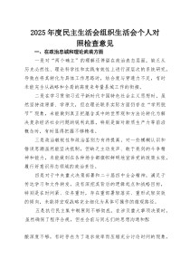 (新)2025年度民主生活会组织生活会个人对照检查意见
