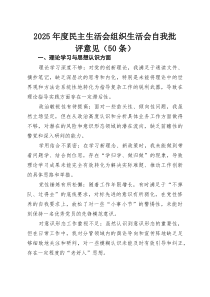 (新)2025年度民主生活会组织生活会自我批评意见（50条）