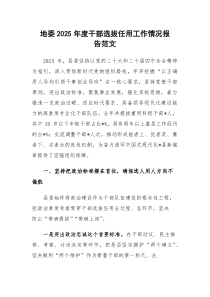 (新)地委2025年度干部选拔任用工作情况报告范文