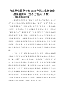 (新)市直单位领导干部2025年民主生活会查摆问题清单（五个方面共15条）