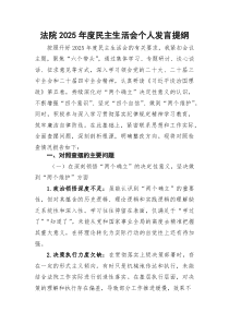 (新)法院2025年度民主生活会个人发言提纲
