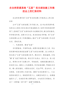 在自然资源系统“五星”党支部创建工作推进会上的汇报材料