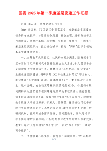 区委2025年第一季度基层党建工作汇报