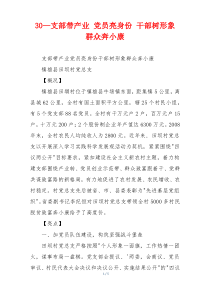 30—支部带产业 党员亮身份 干部树形象 群众奔小康
