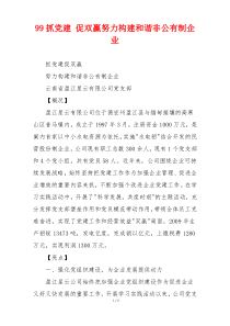 99抓党建 促双赢努力构建和谐非公有制企业