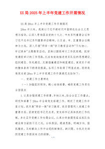 XX局2025年上半年党建工作开展情况