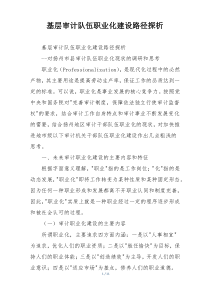 基层审计队伍职业化建设路径探析