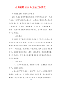 市局党组2025年党建工作要点