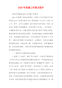 2025年党建工作要点医疗