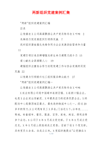 两新组织党建案例汇集