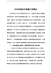 2025年公司党总支党建工作要点