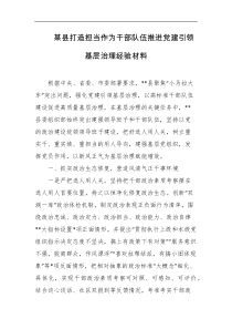 某县打造担当作为干部队伍推进党建引领基层治理经验材料